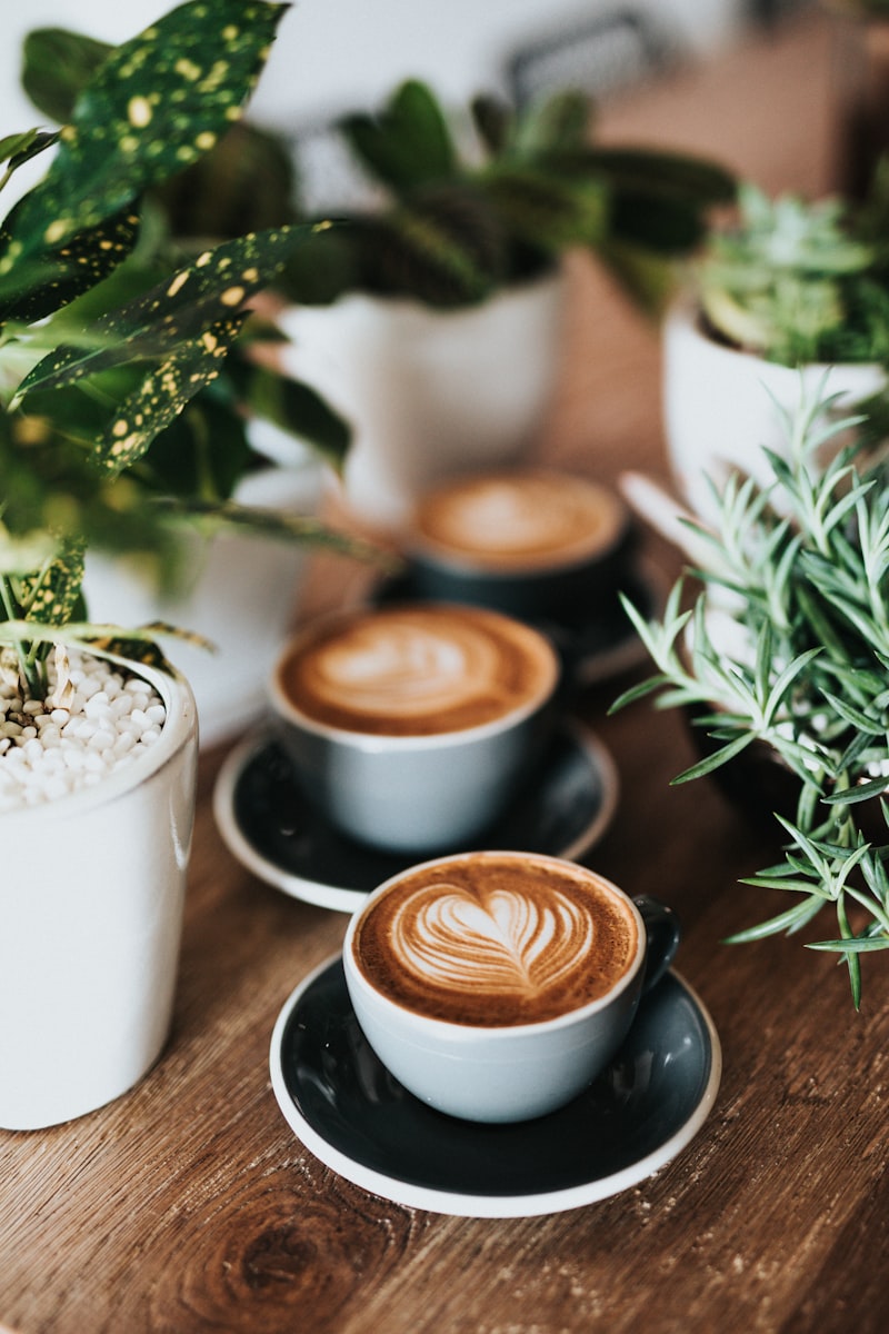 Cafe Franchise Review